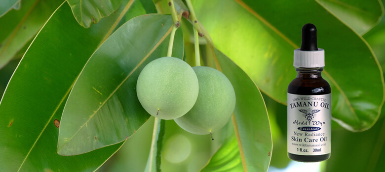 Organic Tamanu Oil